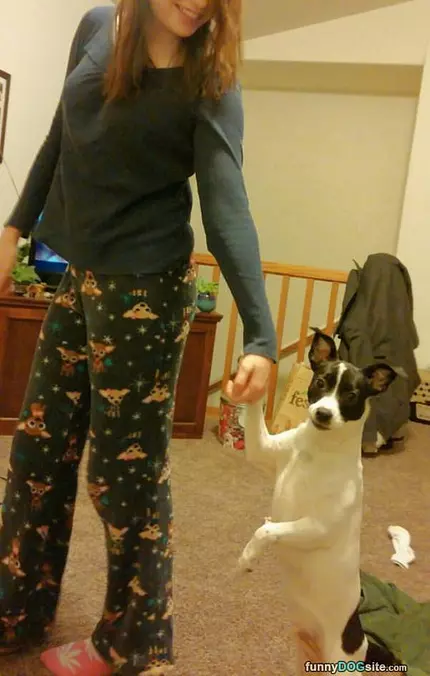 Going For A Walk