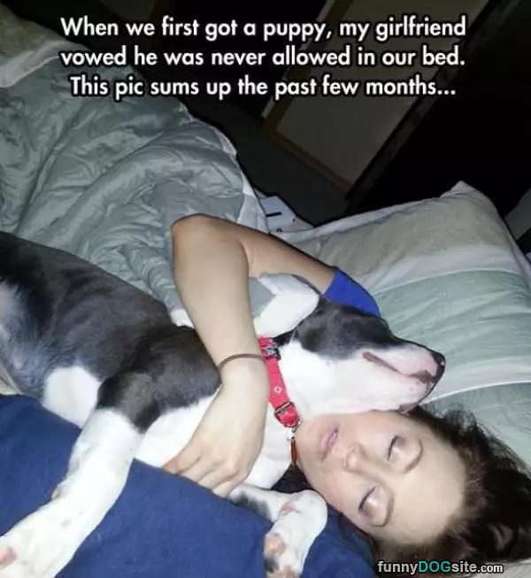 Never Allowed In Bed