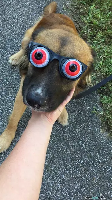Nice Glasses