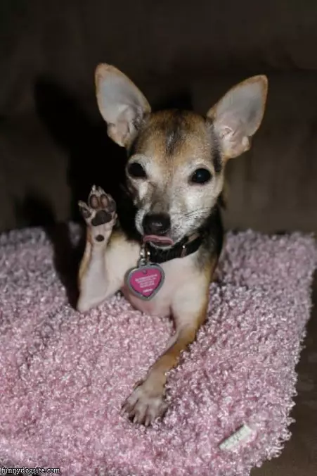 High 5