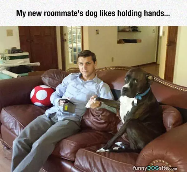 Likes Holding Hands