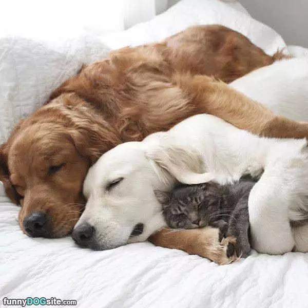 All Together Now