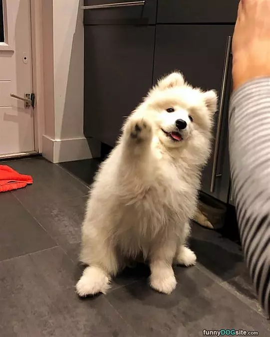 Can I Get A 5
