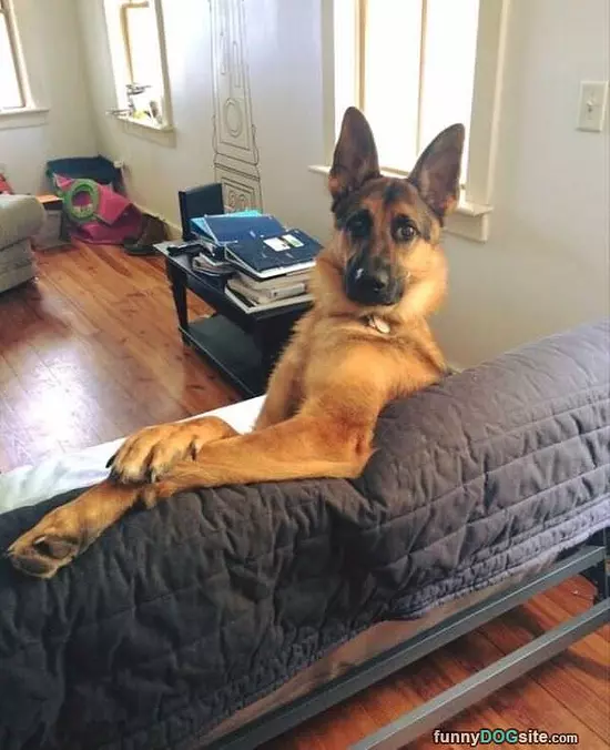 Hey Whats Up Guy