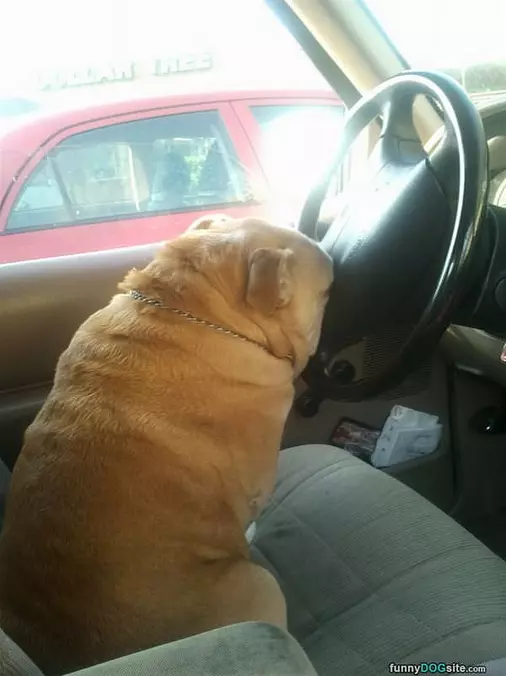 Sticking My Nose In