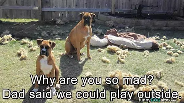 Playing Outside