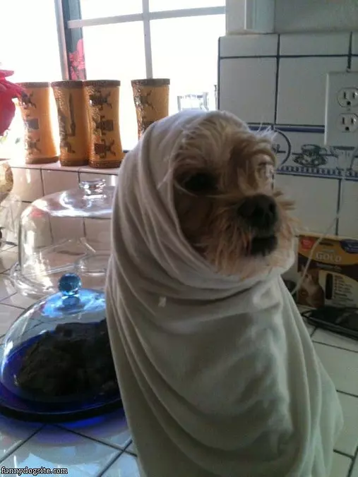 Finished With My Bath
