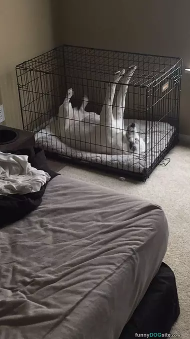 Doing My Stretches