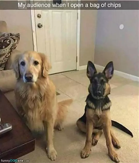 Opening A Bag Of Chips