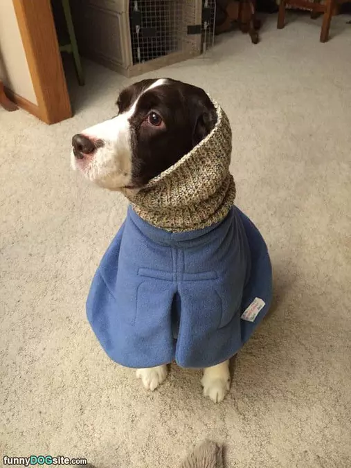 All Wrapped Up