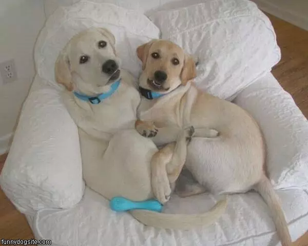 Busted
