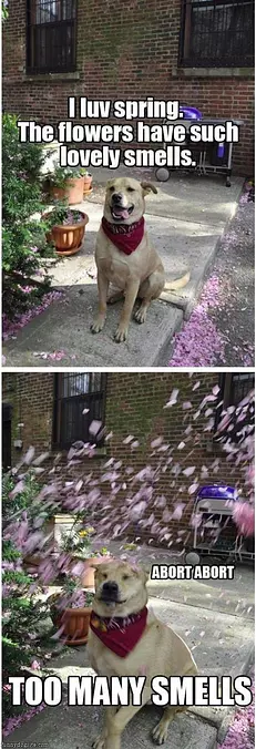Smell Of Spring