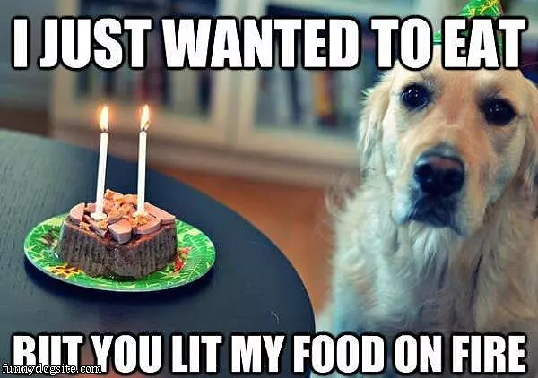 I Just Want To Eat