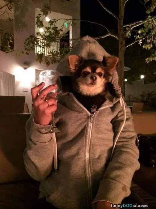 Cheers Everyone