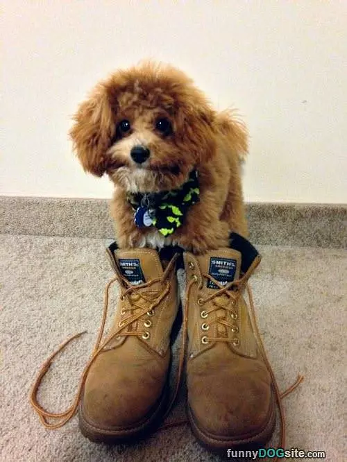 My Big Boots