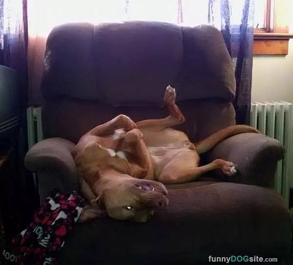 Lily Is Relaxing