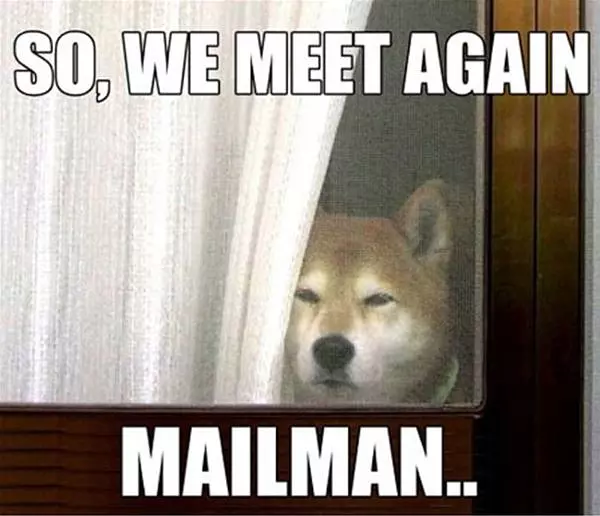So-we-meet-again