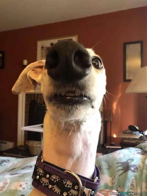 Hey There Guys