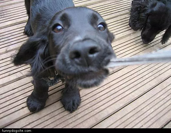 Tug Of War