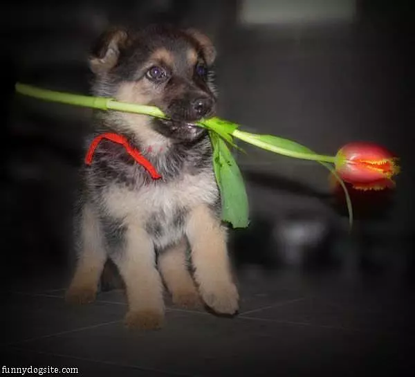 This Is For You