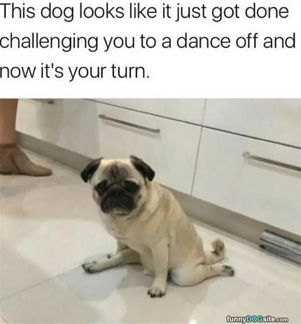 The Dance Off