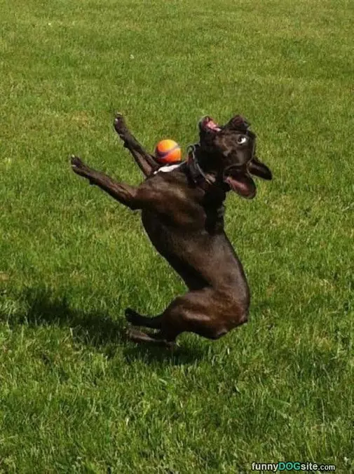 Not A Great Catch
