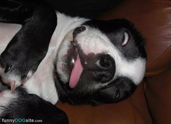 Very Tired Day
