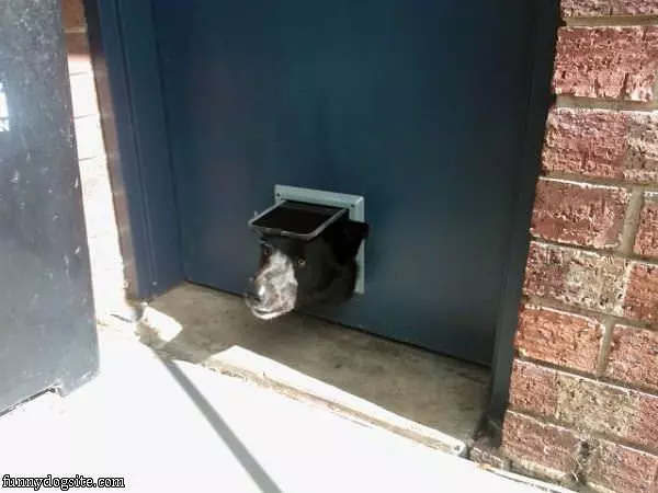 Whos There