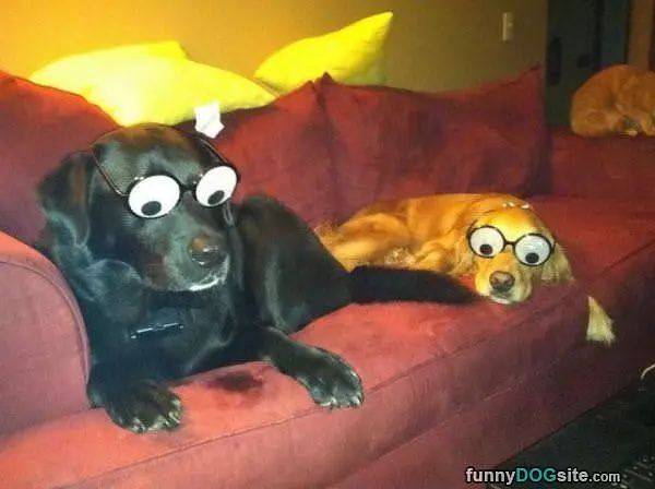Crazy Eyes Glasses
