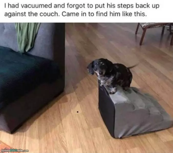 Dude Fix My Steps