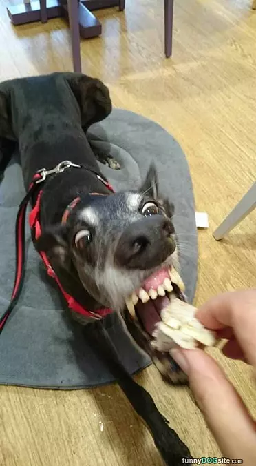 Nom