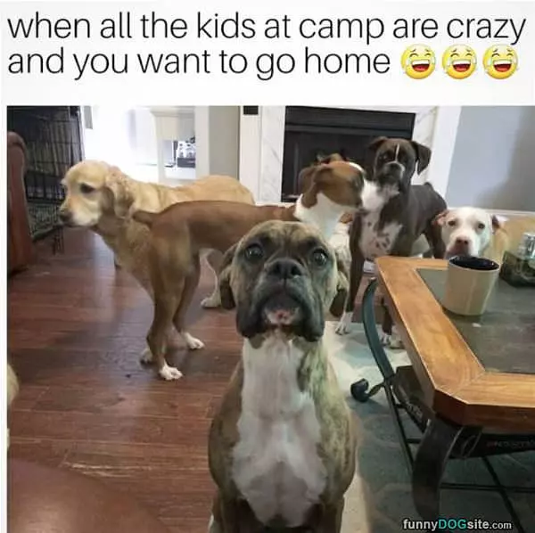 I Want To Go Home