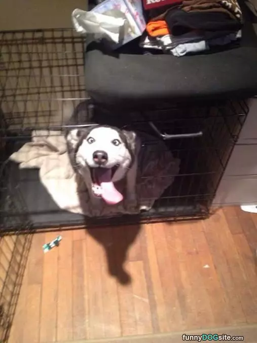 Did You Say Snack