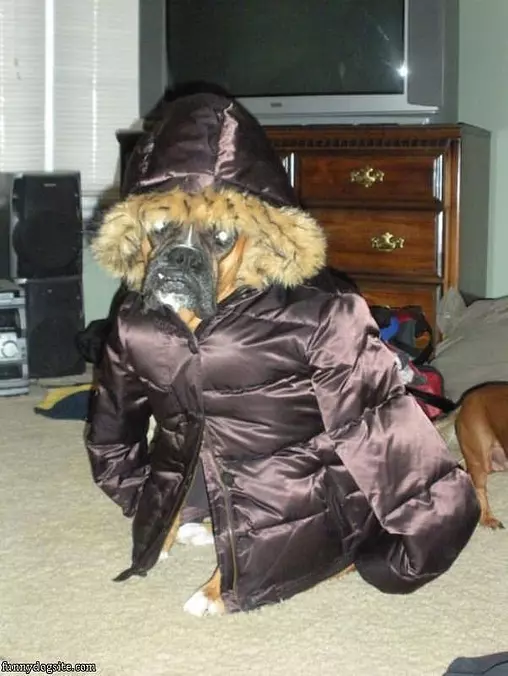 My New Coat