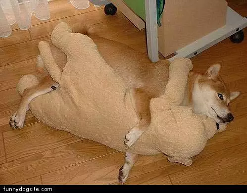 Loves His Teddy