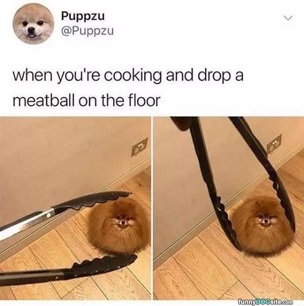 Fell On The Floor