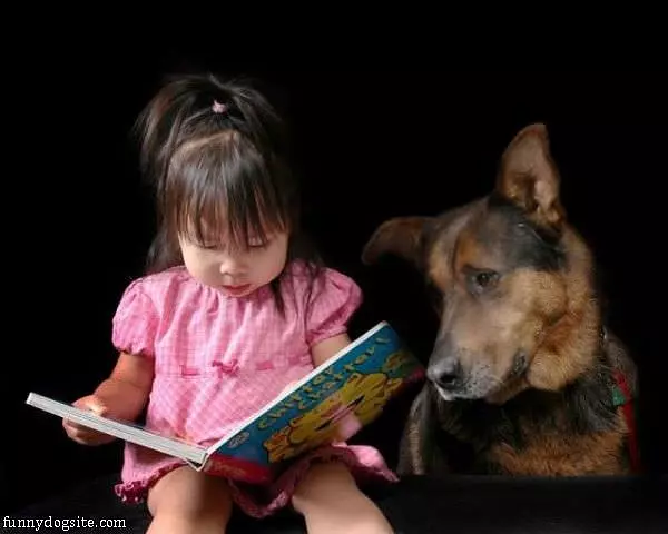 What A Great Book
