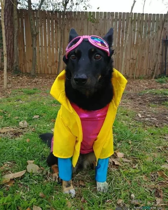 Ready To Party