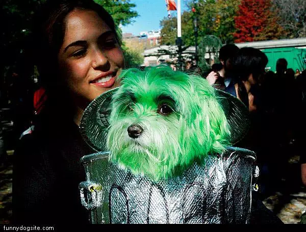 Green Dog