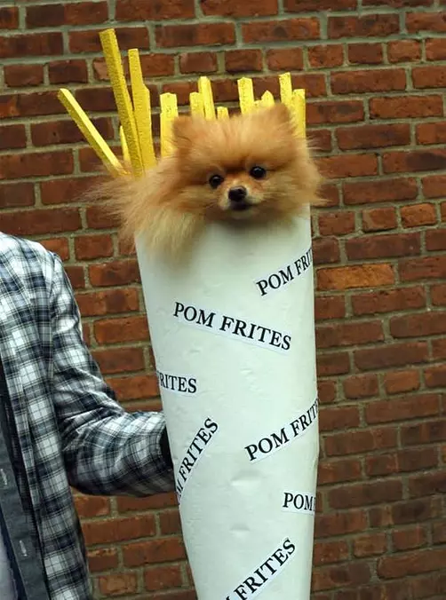 Pom Fries