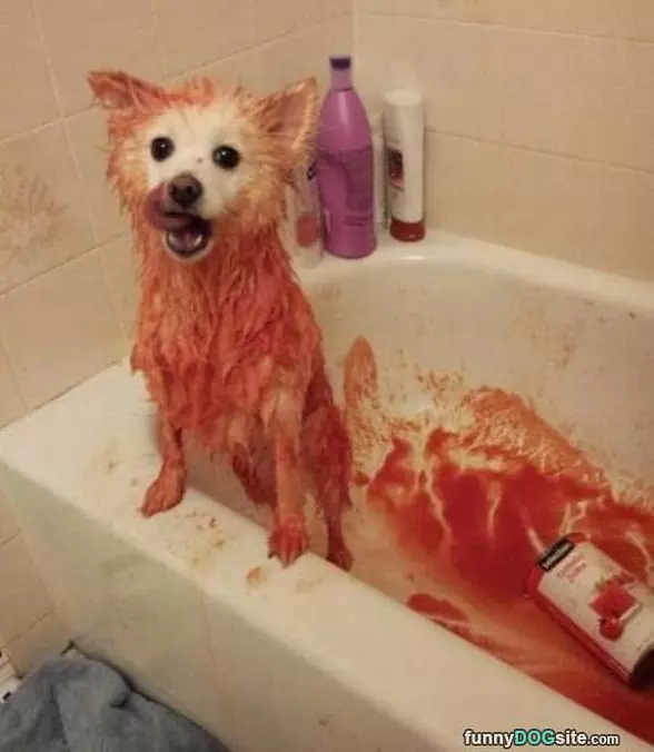 Removing The Skunk