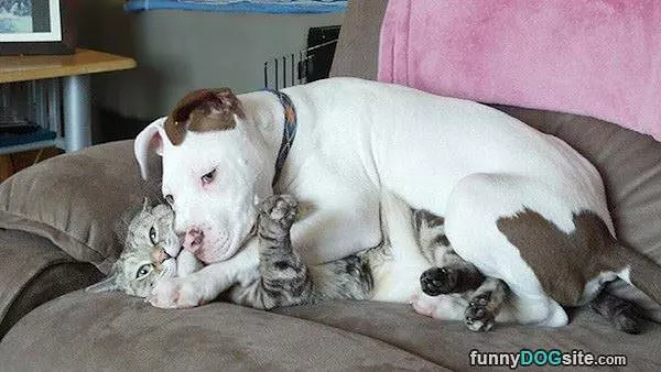 Cuddling