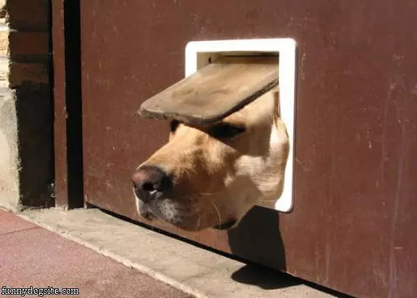 Whats Going On Out Here