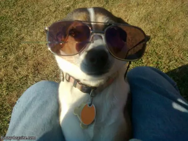 Nice Glasses