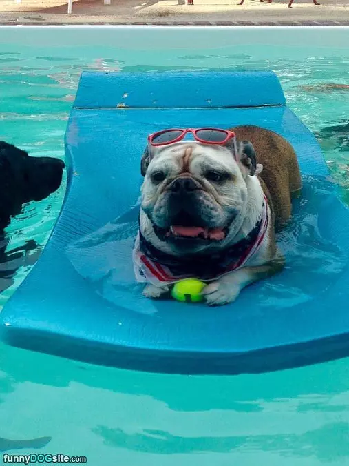 Lounging In My Pool
