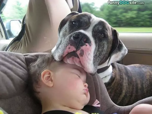 Protecting Him While He Naps