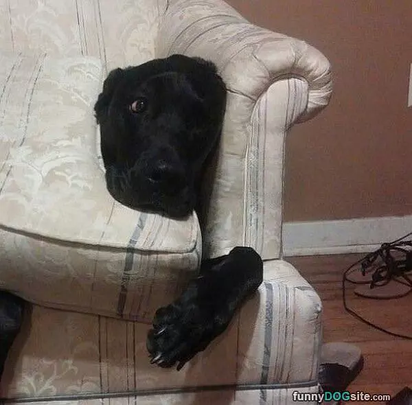 I Is Stuck
