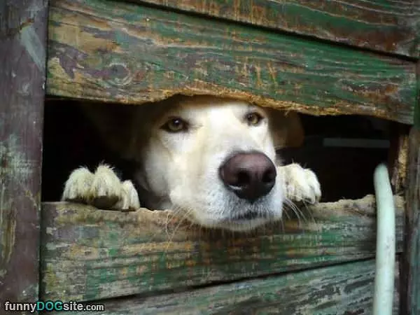 My Peaking Hole