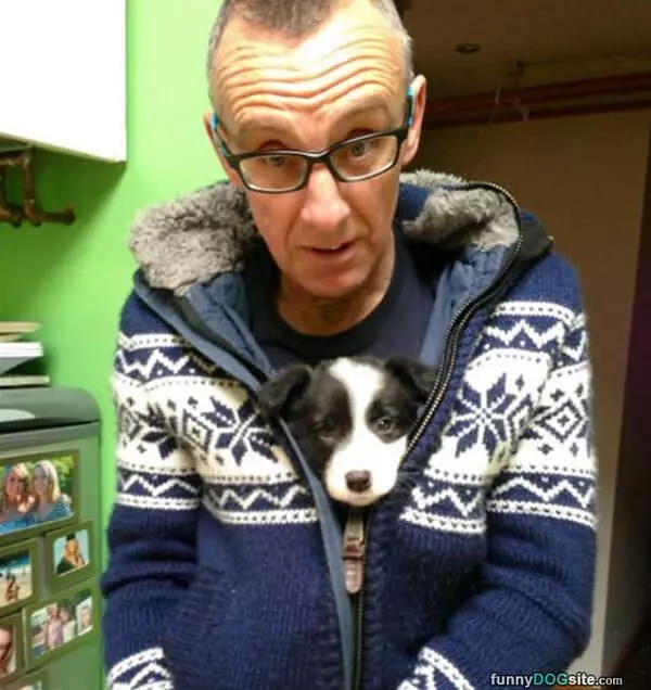 I Am In The Sweater