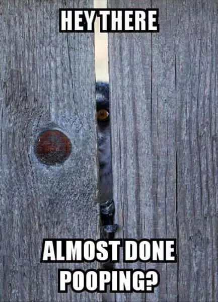 Hey There Are You Almost Done